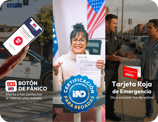 Kit-migratorio